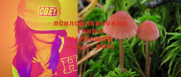 метадон Арсеньев