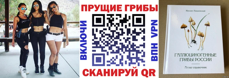 Псилоцибиновые грибы Psilocybe Октябрьск